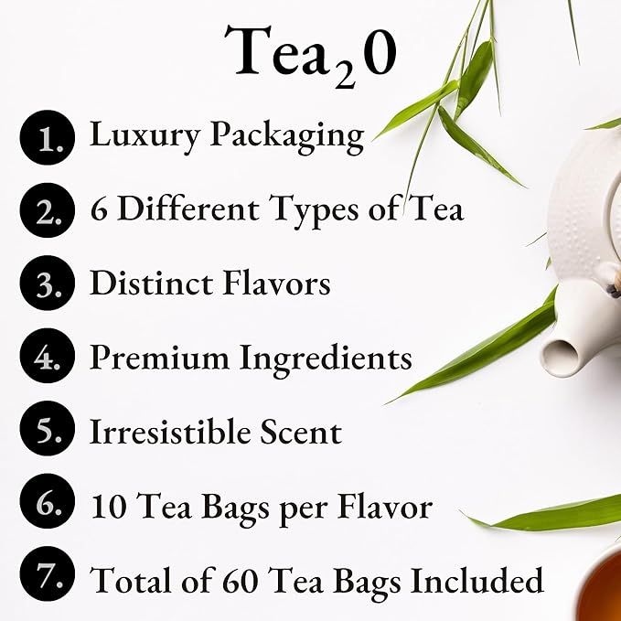 Biogena Tea2O Tea Assortment Gift Box, Flavored Fruit Tea Sampler Gift Set Box- (6x10 Tea Bags Variety Pack)
