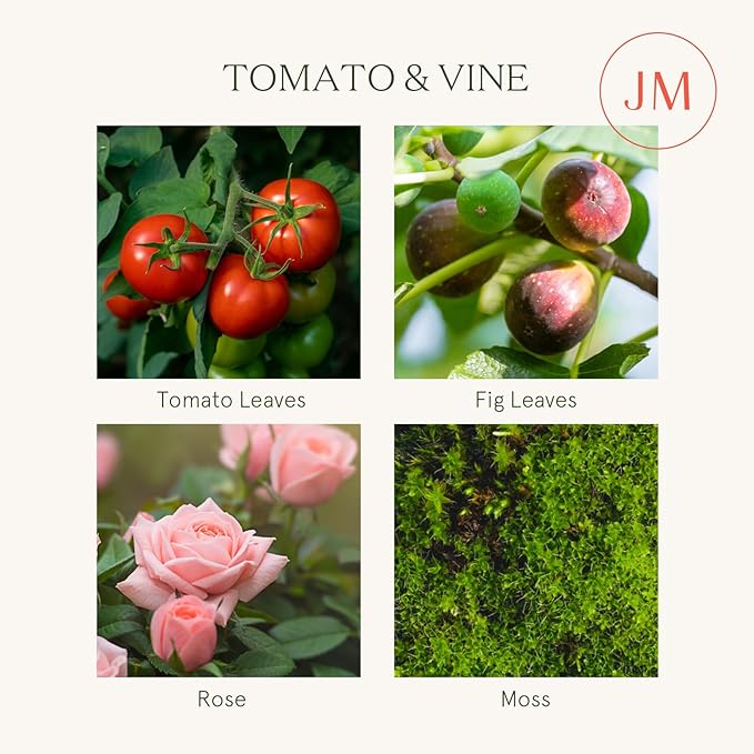 LA JOLIE MUSE Tomato & Vine Candle, Scented Candles for Home, Candle Gifts for Women & Men, Glass Jar Candle, 40 Hours Burning Time, 7oz