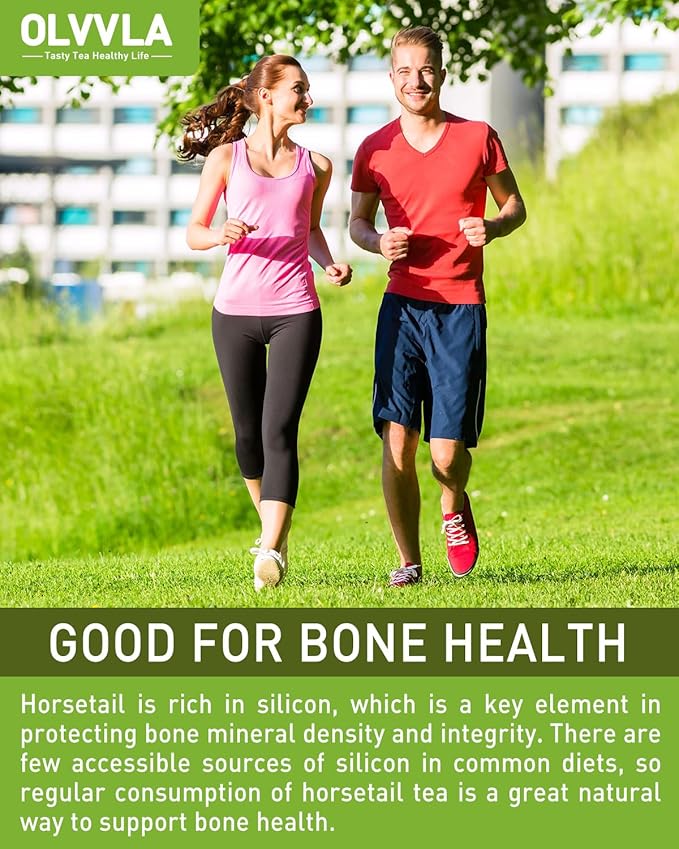 Olvvla - Premium Horsetail Tea Bags - 1.5g X 40 Count - Pure Natural Horsetail Herbal Tea - Caffeine-free - Non-GMO - Dried Horsetail Herb - Rich in Antioxidants & Support Bone Health