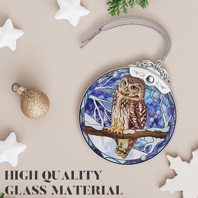 Christmas Tree Ornaments 3 Inch Clear Glass Blanks Round Print Ornament Christmas Hanging Decorative with Silver Ribbon (Owl)