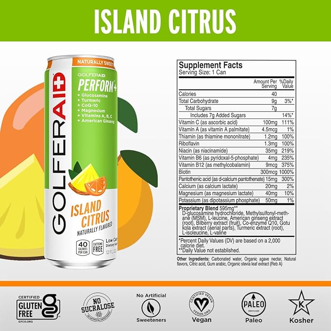 GOLFERAID Performance Blend, Up Your Golf Game, No Caffeine, Glucosamine, Turmeric, MSM, CoQ10, B-Complex, BCAAs and Electrolytes, 40 Calories, 100% Clean, Paleo, Vegan, 12-oz. cans (Pack of 24)