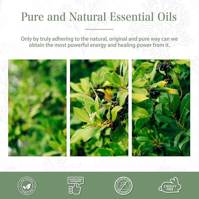 Camphor 3.38fl.oz Essential Oil, PHATOIL Aromatherapy Essential Oils for Diffuser, Humidifier, Perfect for DIY Soap, Candle, Bath Bombs Making(100ml)