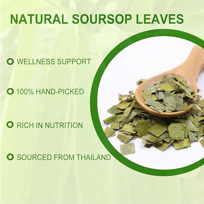 Jarteela - Soursop Tea Bag, 1.5g x 60 Count - Pure Graviola Tea - Natural Soursop Leaves Herbal Tea Bags - Non-GMO - Caffeine-free Tea - Support Digestive & Healthy Skin