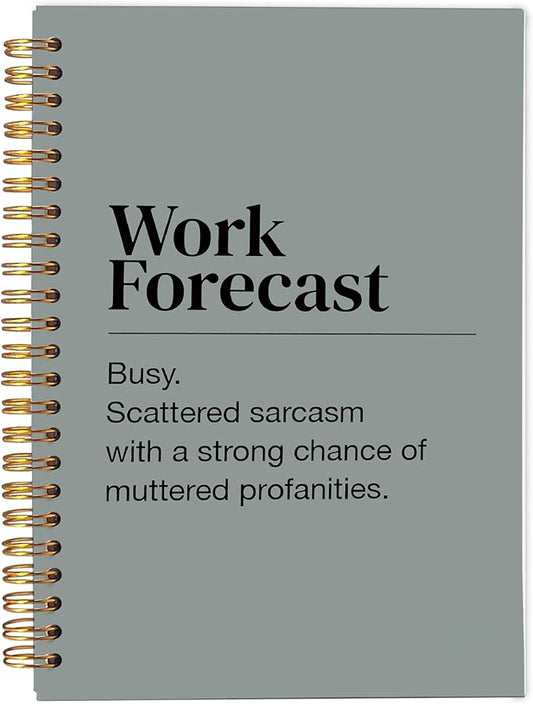 Funny Office Notebooks for Work, Sarcastic Office Journal, Work Humor Gifts Journal for Coworkers Women Men, Funny Office Supplies, Spiral Notebooks 5.5x8.3 Inch