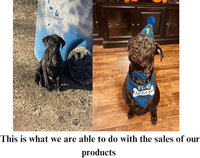 Date Night Wax Melts 4 Pack – Armani Cologne Scented Wax Melts, Long-Lasting Soy Wax for Home and Office, Luxurious and Romantic Masculine Fragrance