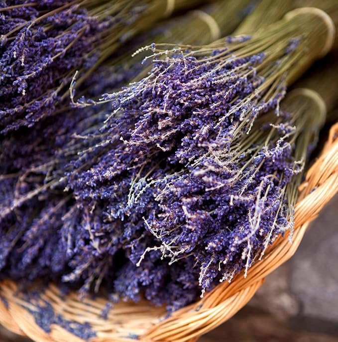 Lavender Oil - Bulgarian Essential Oils - Lavender Diffuser - Pure Therapeutic Grade (15ml)