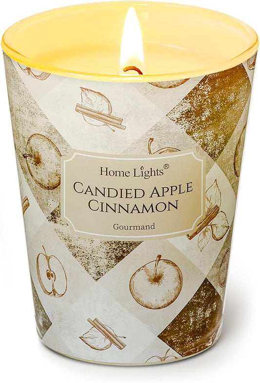 HomeLights Large jar Candle | 1-Wick Long-Lasting Scented Candles, 6.7oz Natural Soy Wax Candle for Home Scented, Rustic Modern Gifts for Women & Men, Candied Apple Cinnamon