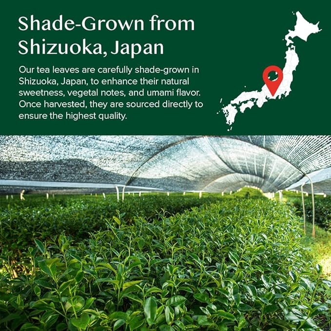 VAHDAM, Japanese Matcha Tea Powder (50 Cups,3.53oz) Sourced from Japan | Authentic Japanese Matcha Green Tea Powder | Classic Culinary Matcha From Japan