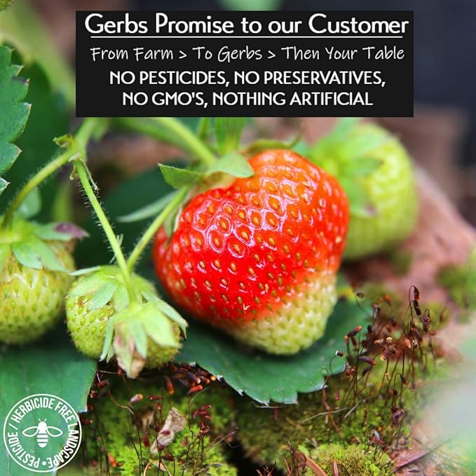 Gerbs Summer Sweet Strawberries 2 lbs. | Dehydrated, Unsulfured, Resealable Bag | Naturally Sweet & Tart | Top 14 Allergen-Free