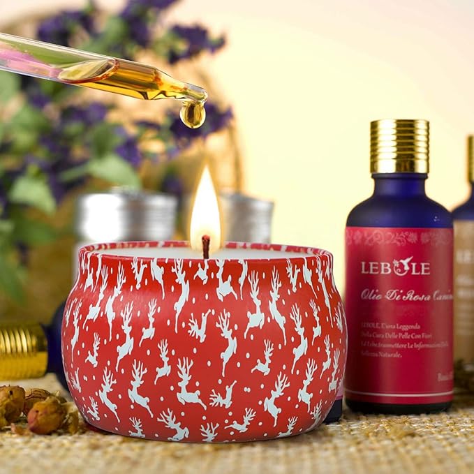 Christmas Candles Gifts for Women, 4 Pack Scented Candles Set,120 Hour Long Lasting Natural Soy Wax Aromatherapy Candle for Meditation, Yoga, Relaxation, SPA, Ideal Gifts for Women