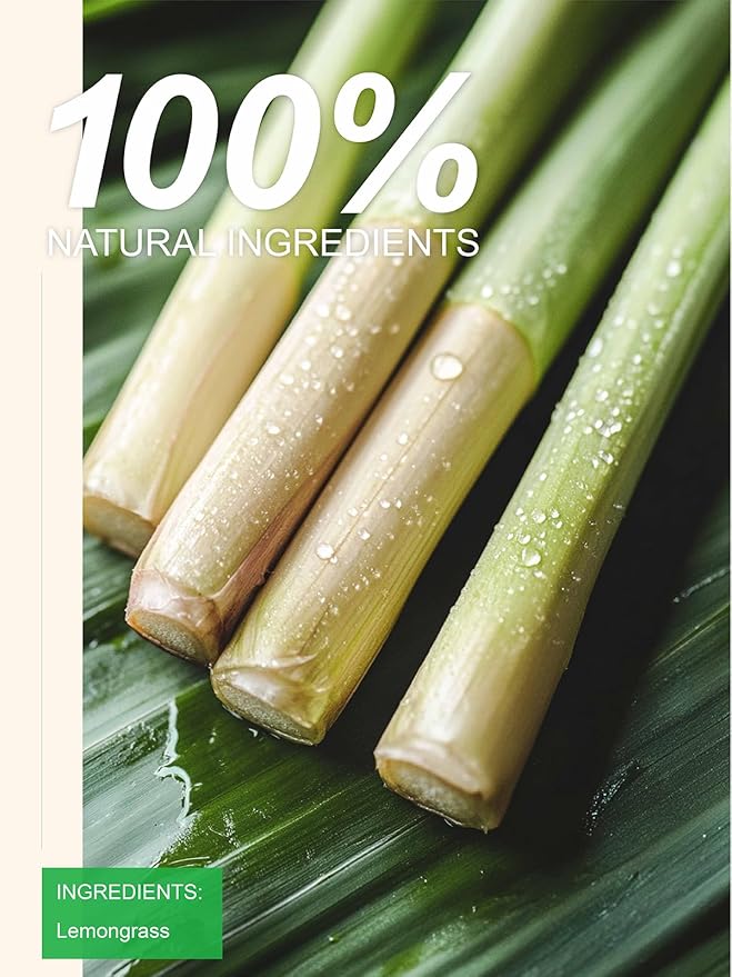 TeeLux Lemongrass Tea Bags, Pure & Natural Lemongrass Herbal Tea, Refreshing & Smooth Taste, Caffeine Free, 100 Count