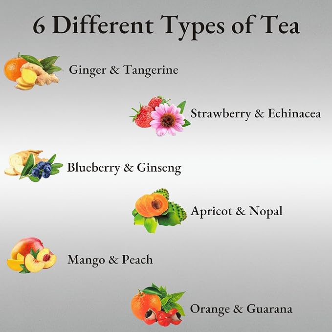 Biogena Tea2O Tea Assortment Gift Box, Flavored Fruit Tea Sampler Gift Set Box- (6x10 Tea Bags Variety Pack)