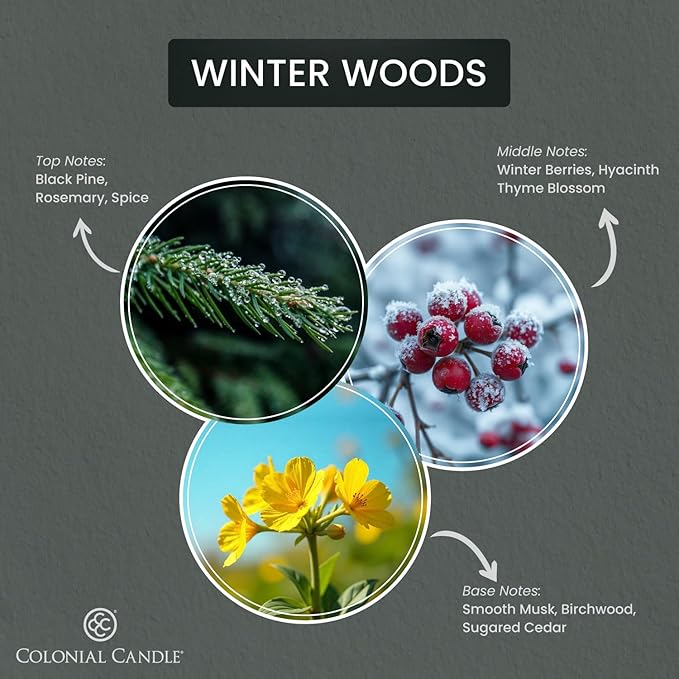 Colonial Candle Winter Woods Wax Melts, Wax Melt Warmer Cubes, Long Lasting Scented Wax Warmer Cubes, 4 Pack, 6 Cubes Each - Made in The USA