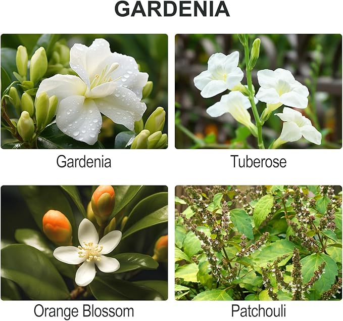 L'odeur Vill Reed Diffuser Set, 6.7 oz(200ml) Gardenia Scented Diffuser with 6 Oil Diffuser Sticks, Home Fragrance Essential Oil Reed Diffuser for Home Large Rooms Bathroom Shelf Decor