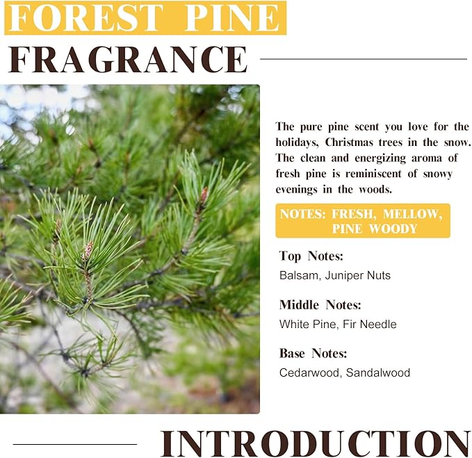 EUQEE Forest Pine Fragrance Oil Premium Fragrance Essential Oil 2.02 Fl oz with Glass Dropper for Diffusers, Soap Making, DIY Candle (60ml)