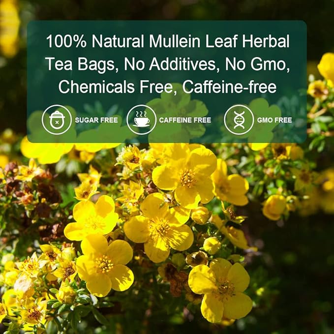 Mullein Leaf Tea Bags - Lungs Cleanse and Respiratory Support, Herbal Teas, Caffeine Free, 30 Tea Bags