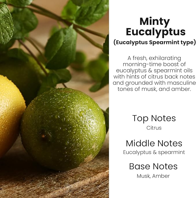 Car Air Freshener Hanging, Cute Air Diffuser, Long Lasting Car Fresheners for Women, Made in USA (2 Pack)