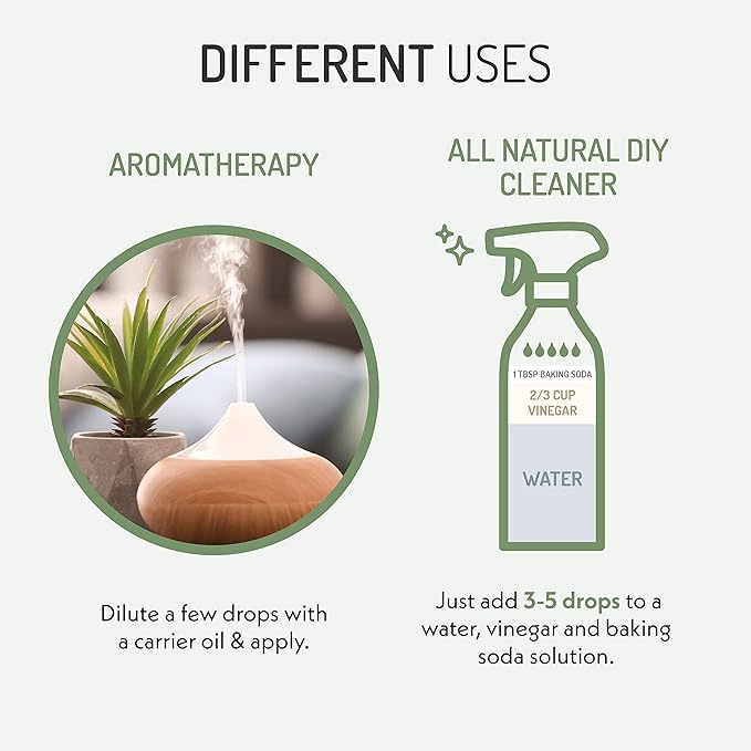 Eve Hansen Organic Eucalyptus Essential Oil 4oz | Topical & Aromatherapy | Sauna Essential Oil