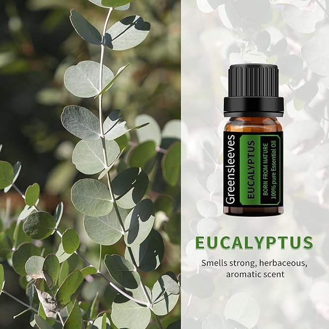 GREENSLEEVES Rose Eucalyptus Essential Oil Set, 2 x 10ml Pure Plant-Based Fragrance Oil for Aromatherapy, Essential Oils for Diffuser, Massage, Bath Bomb, Scented Candle Soap Making