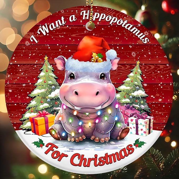 I Want a Hippopotamus for Christmas Ornament, Cute Hippo Tree Decoration with Lights, Funny for Men Women 2025