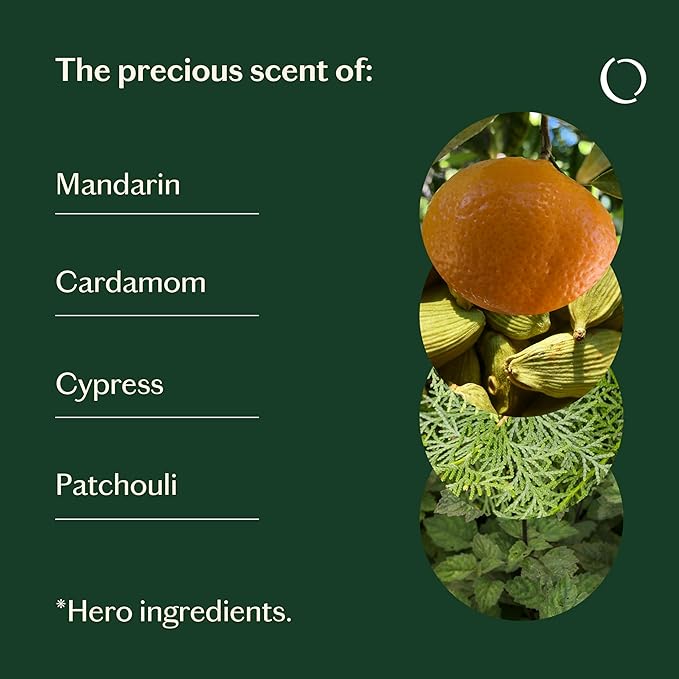 LIVEDROPS 24/7 Balanced Essential Oil Blend Mandarin Cardamom Cypress Patchouli | Aromatherapy for Calm, Harmony & Grounding | Skin-Safe Diffuser Oil | Vegan French Perfumers Clinically Tested 10ml