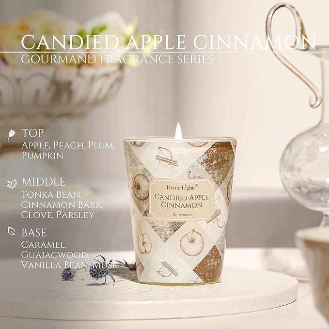 HomeLights Large jar Candle | 1-Wick Long-Lasting Scented Candles, 6.7oz Natural Soy Wax Candle for Home Scented, Rustic Modern Gifts for Women & Men, Candied Apple Cinnamon