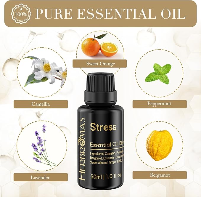 Pre-Diluted Aromatherapy Essential Oils Blend, Natural Plant Essential Oils Refill for Roll-on (Focus, 1)