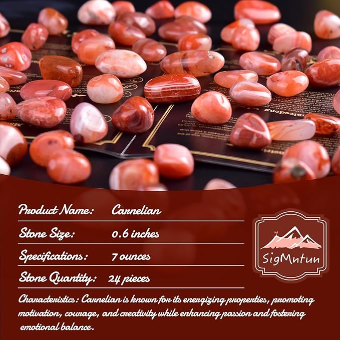 Carnelian Healing Crystal Stone Set - 24 Pieces, 0.6" Natural & Polished Stones for Healing, Meditation, Reiki, Chakra, Crafting & Decoration