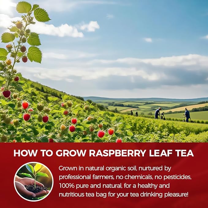 WOTIHA-Natural Raspberry Leafa Tea 120g. 80 Herbal Tea Bags.Natural Pregnancy Tea. Non-GMO • Additive-Free • Caffeine-Free，Vegan