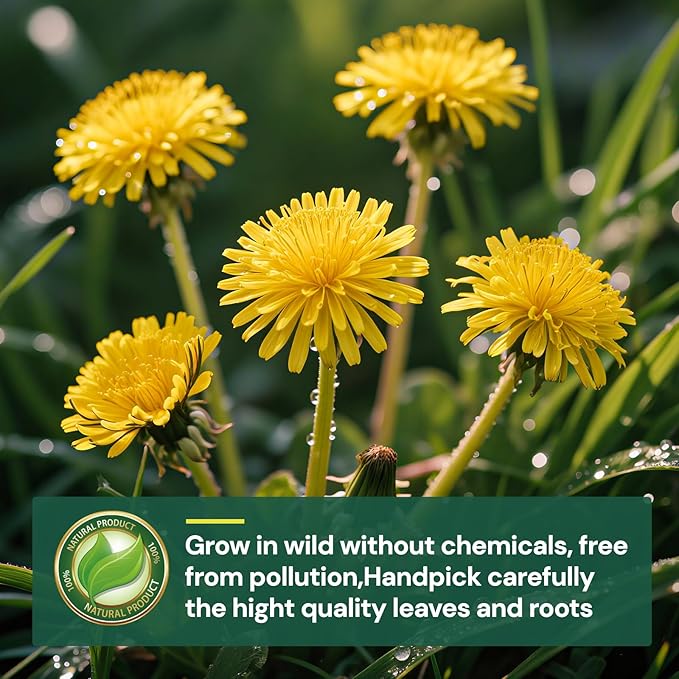 Dandelion Leaf and Root Tea Bag, Natural Dandelion Roasted Herbal Detox Teabag for Liver & Kidney Health, Support Digestion Dandelion Root Tea, Caffeine Free, No Additives（100 Teabags)