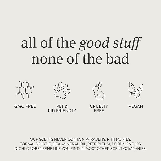 Drift Metal Vent Clip Starter Kit - Car Air Freshener - Scent Diffuser for Car - Metal Odor Eliminator - Amber