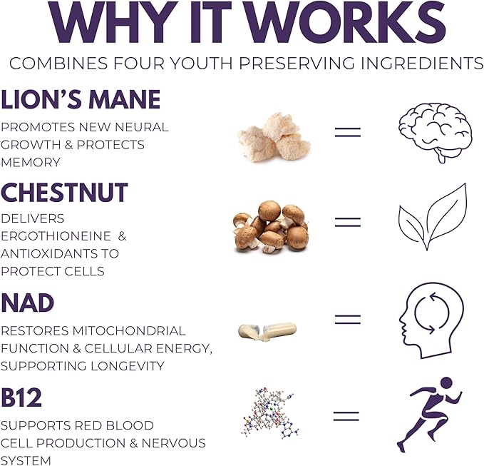 Everyday Youth - Anti-Aging Supplement - Brain & Cellular Energy Formula – Lion’s Mane, Chestnut, NAD, B12 + Beta-Glucans - 60 Vegan Capsules