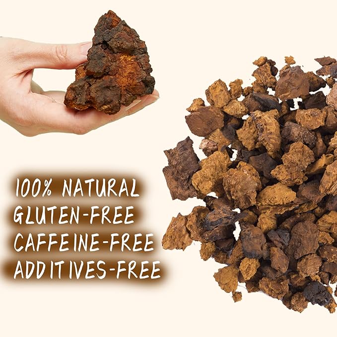 Jarteela - Chaga Tea, 50 Teabags, 2.5g/bag - Chaga Mushroom Tea Bag - Premium Herbal Tea Bags - Non-GMO - Caffein-free Tea- Improve Liver and Skin Health