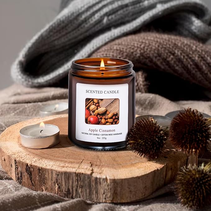 Apple Cinnamon Scented Candles for Home Scented Aromatherapy Candles, Hand-Poured, 9 OZ, 50H Clean Burn,Soy Wax Candle Gift Set for Women Men