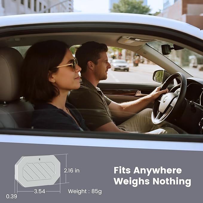 2 in 1 Car Air Freshener, Stone Car fragrance Diffuser Auto Interiors Odor Eliminator, Durable Magnetic Visor Clip & Hanging Air Fresheners - AppleOrchard