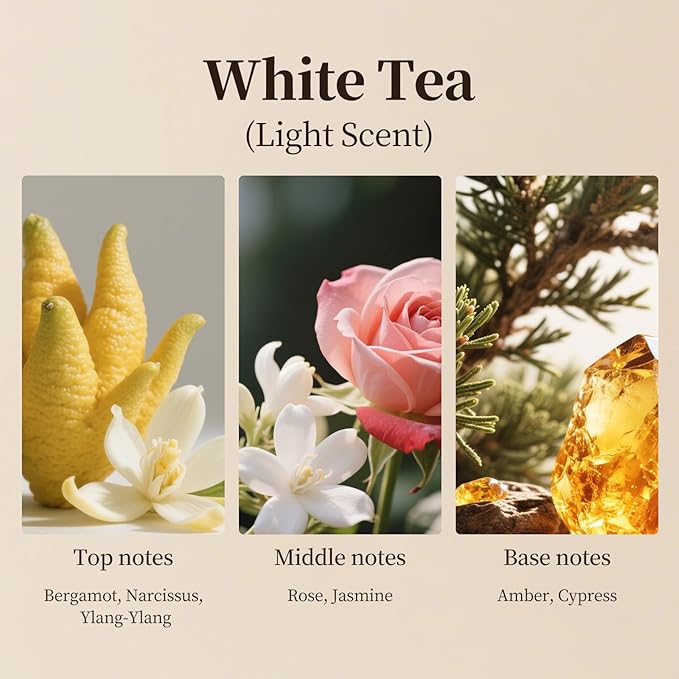 Premium White Tea Waterless Diffuser Oil,Hotel Inspired Luxury Scent,Long Lasting Aroma for Ultrasonic & Reed Diffusers,Plastic Bottle,100ml(3.4fl oz)