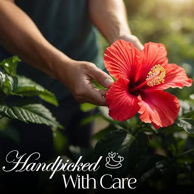 50 PACK Hibiscus Tea Bags – Individual Wrapped Tea Bags – All Natural Herbal Tea | Caffeine Free | No Preservatives, No Sugar – Great For All Seasons