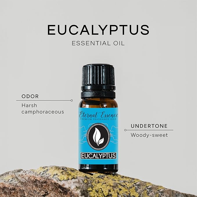 Eucalyptus Premium Grade Fragrance Oil - 10ml - Scented Oil
