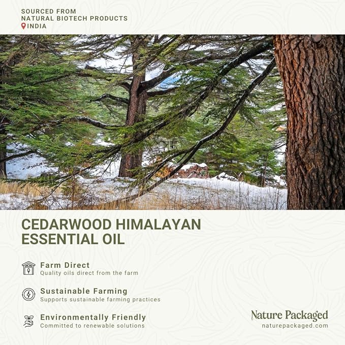 Cedarwood Himalayan Essential Oil - 100% Pure Steam Distilled Natural Cedarwood Himalayan Oil (Aceite de Cedro) from Natural Biotech NBT India for Aromatherapy & DIY Projects - 15ml