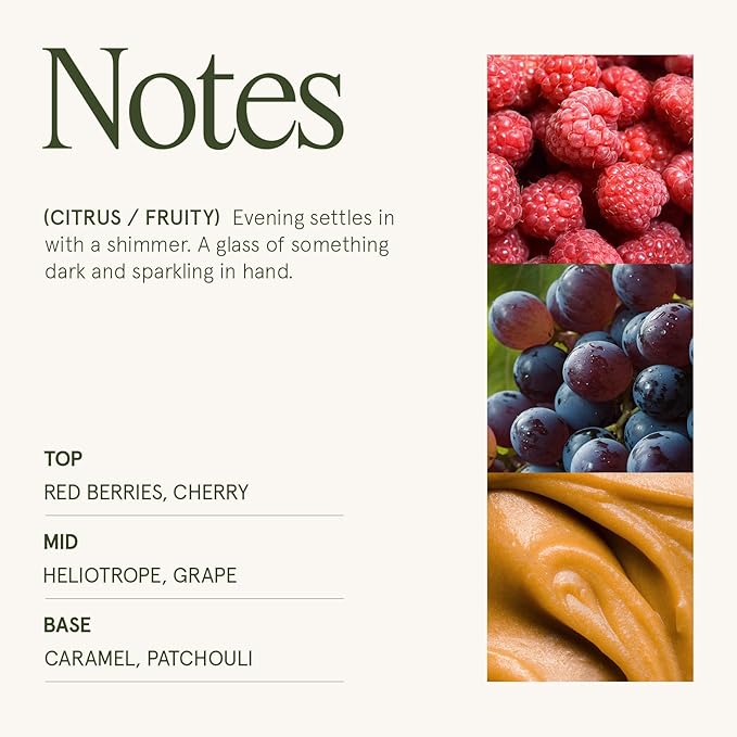 LA JOLIE MUSE Dark Berries & Bergamot Candle - Berries, Grape, Caramel | 19 oz Large Wooden Wick Candle | Natural Soy Wax | 90 Hours Clean Burn | Gift-Ready for Hosts & Gatherings | Elegant Home Décor