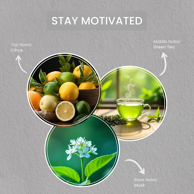 Carolina Stay Motivated Scented Candle, 16 oz Citrus & Green Tea Scented, 2 Wick Wellness Relaxing Candle, 60H Burn Time, Ideal for Creating a Welcoming Home - Made in The USA