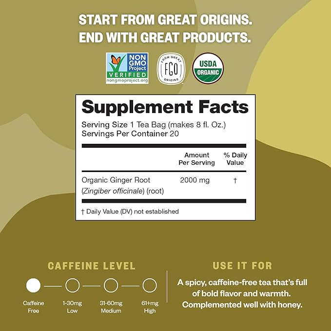 FGO Organic Ginger Tea, 100 Count, Eco-Conscious Tea Bags, Caffeine Free, Packaging May Vary (Pack of 1)