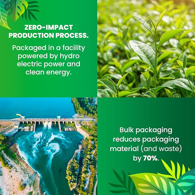 Organic Green Tea — 100 Tea Bags| Organic Tea From Single Origin | Eco-Friendly Tea Bags | Non-GMO Tea With Zero Sugar | Cederberg Tea Company