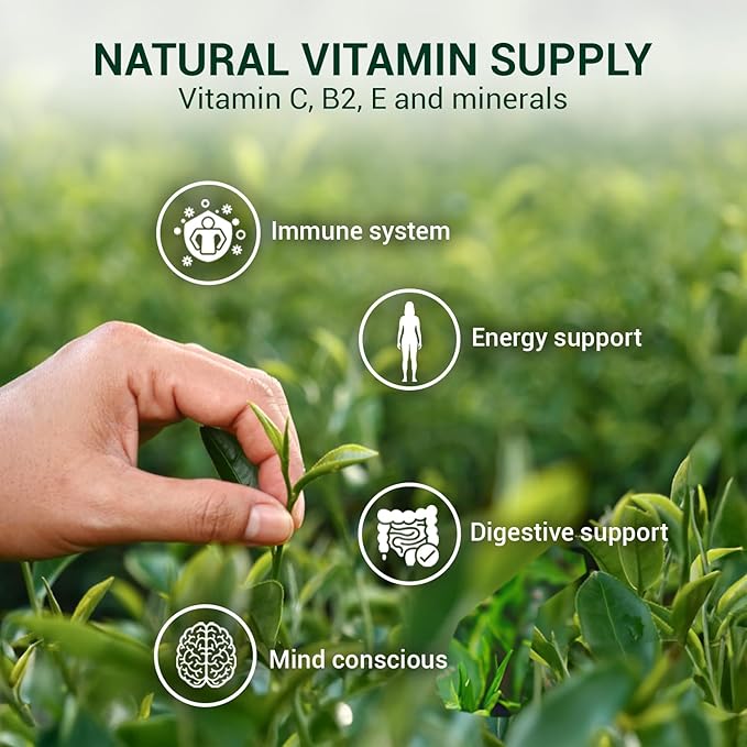 ANBA Black Tea Bags Fermented Tea Leaf, 25 Count | Bold & Rich Flavor | Medium Caffeine | No Sugar Added | ISO HACCP Certified