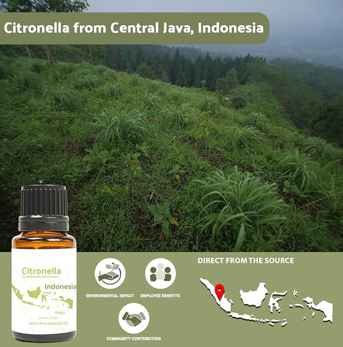 Citronella Essential Oil - Direct from Central Java, Indonesia - Pure Essential Oil for Diffusers and Aromatherapy | 100% Pure Therapeutic Grade (15ml)