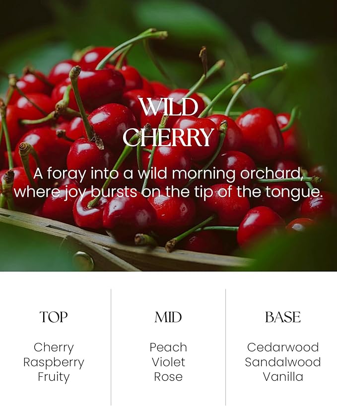 M&SENSE Wild Cherry Reed Diffuser Set - 8.79fl oz Home Fragrance Non-Toxic Natural Essential Oil Diffuser with Sticks, Air Freshner Gifts for Home Fragrance Decor