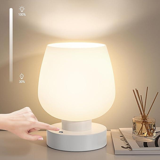 Cordless Bedside Lamp, Portable Rechargeable Table Lamps for Bedroom for Night Stands, Touch Stepless Dimmable Desk Lamp, Warm LED Bulb, Round Shape, 1 Set, White