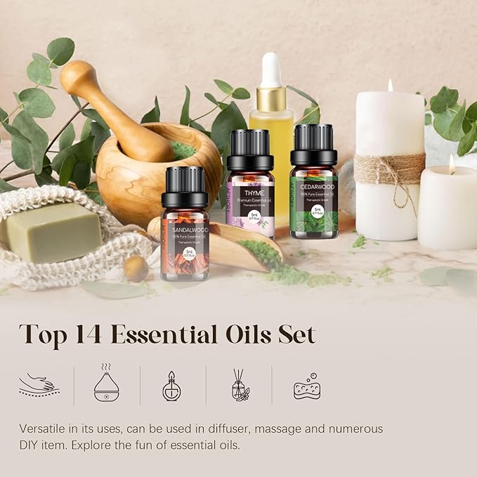 Woody & Herbal Essential Oils Set - TOP 14 Fragrance Oil for Diffusers, Aromatherapy, Candle Making - Sandalwood, Cedarwood, Teakwood, Vetiver Aromatherapy Scented Oils (5ml)