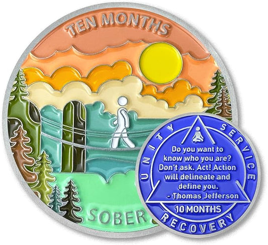 10 Month Sobriety Coin Sobriety Chips AA Chip AA Coins Sober Token Recovery Medallion NA Chips NA Coins from 1 to 12 Months Plastic case Included-Baking Paint Process