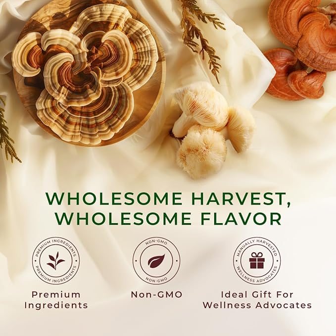 Gya Tea Co Caffeinated Mushroom Chai Black Tea Pod (16 Count) - Smooth, Flavourful, Robust, Enjoy Hot or Iced